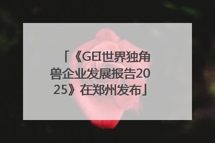 《GEI世界独角兽企业发展报告2025》在郑州发布