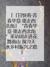 「甘快看·青春华章·重走西北角」“青春华章·重走西北角”采访团走进花舞南山 探寻天水乡村振兴之路