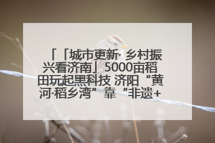 「城市更新· 乡村振兴看济南」5000亩稻田玩起黑科技 济阳“黄河·稻乡湾”靠“非遗+露营”火出圈