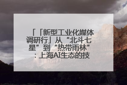 「新型工业化媒体调研行」从“北斗七星”到“热带雨林”：上海AI生态的技术商业共生密码