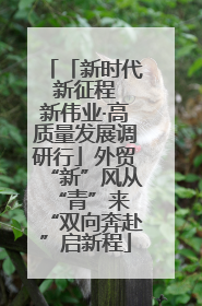 「新时代 新征程 新伟业·高质量发展调研行」外贸“新”风从“青”来 “双向奔赴”启新程