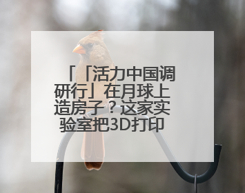 「活力中国调研行」在月球上造房子？这家实验室把3D打印“带上月球”