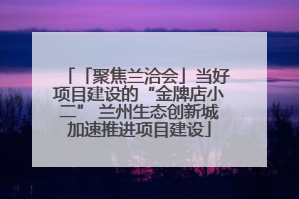「聚焦兰洽会」当好项目建设的“金牌店小二” 兰州生态创新城加速推进项目建设
