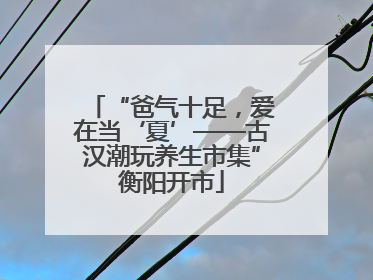 “爸气十足，爱在当‘夏’——古汉潮玩养生市集”衡阳开市
