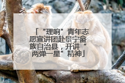 “理响”青年志愿宣讲团赴景宁畲族自治县，开讲“两弹一星”精神