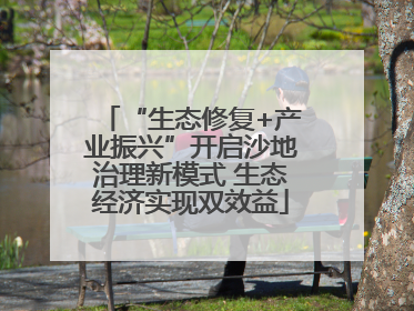 “生态修复+产业振兴”开启沙地治理新模式 生态经济实现双效益