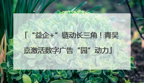 “益企+”链动长三角！青吴嘉激活数字广告“园”动力