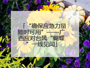 “确保应急力量随时可用”——广西应对台风“蝴蝶”一线见闻