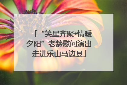“笑星齐聚•情暖夕阳”老龄慰问演出走进乐山马边县