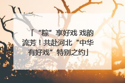 “粽”享好戏 戏韵流芳！共赴河北“中华有好戏”特别之约