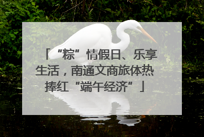 “粽”情假日、乐享生活，南通文商旅体热捧红“端午经济”