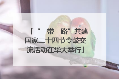 “一带一路”共建国家二十四节令鼓交流活动在华大举行