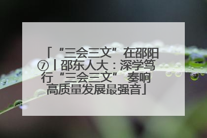 “三会三文”在邵阳⑦丨邵东人大：深学笃行“三会三文” 奏响高质量发展最强音