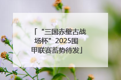 “三国赤壁古战场杯”2025围甲联赛蓄势待发