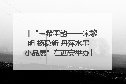 “三希墨韵——宋黎明 杨稳新 丹萍水墨小品展”在西安举办