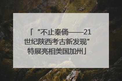“不止秦俑——21世纪陕西考古新发现”特展亮相美国加州