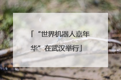 “世界机器人嘉年华”在武汉举行