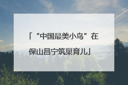 “中国最美小鸟”在保山昌宁筑巢育儿
