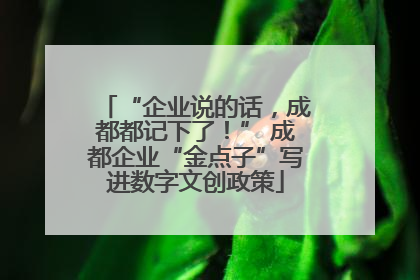 “企业说的话，成都都记下了！” 成都企业“金点子”写进数字文创政策