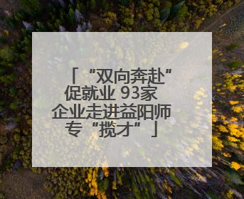 “双向奔赴”促就业 93家企业走进益阳师专“揽才”
