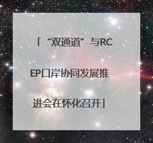 “双通道”与RCEP口岸协同发展推进会在怀化召开