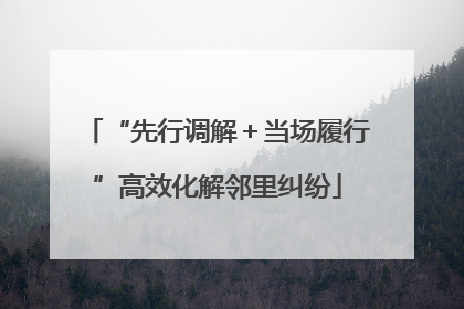 “先行调解＋当场履行”高效化解邻里纠纷