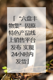 “六盘丰物集”固原特色产品线上销售平台发布 实现24小时内发货
