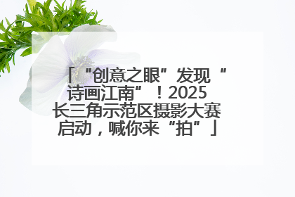 “创意之眼”发现“诗画江南”！2025长三角示范区摄影大赛启动，喊你来“拍”