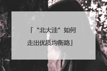 “北大洼”如何走出优质均衡路