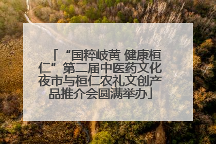 “国粹岐黄 健康桓仁”第二届中医药文化夜市与桓仁农礼文创产品推介会圆满举办