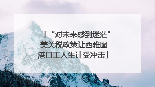 “对未来感到迷茫” 美关税政策让西雅图港口工人生计受冲击
