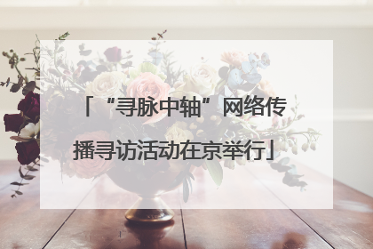 “寻脉中轴”网络传播寻访活动在京举行