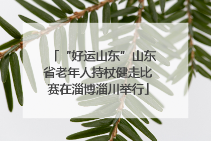 “好运山东”山东省老年人持杖健走比赛在淄博淄川举行