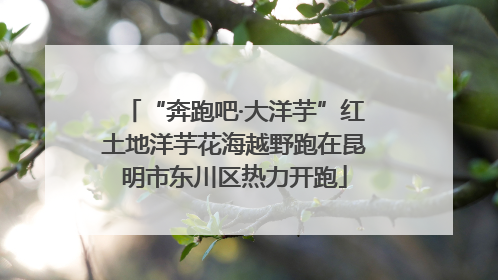 “奔跑吧·大洋芋”红土地洋芋花海越野跑在昆明市东川区热力开跑