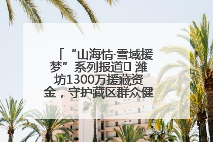 “山海情·雪域援梦”系列报道⑪ 潍坊1300万援藏资金，守护藏区群众健康“最后一公里”