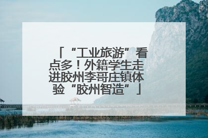 “工业旅游”看点多！外籍学生走进胶州李哥庄镇体验“胶州智造”