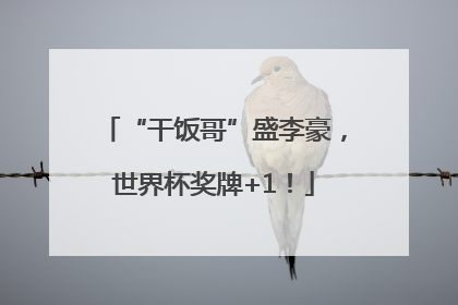 “干饭哥”盛李豪，世界杯奖牌+1！