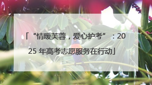 “情暖芙蓉，爱心护考”：2025 年高考志愿服务在行动