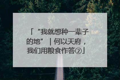 “我就想种一辈子的地”｜何以天府，我们用粮食作答②