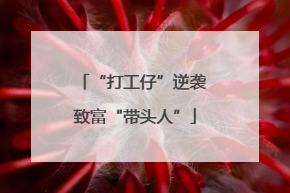“打工仔”逆袭致富“带头人”
