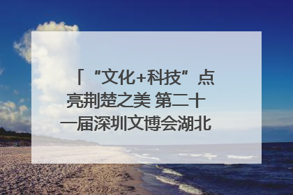 “文化+科技”点亮荆楚之美 第二十一届深圳文博会湖北馆抢“鲜”看