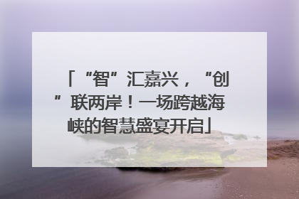 “智”汇嘉兴，“创”联两岸！一场跨越海峡的智慧盛宴开启