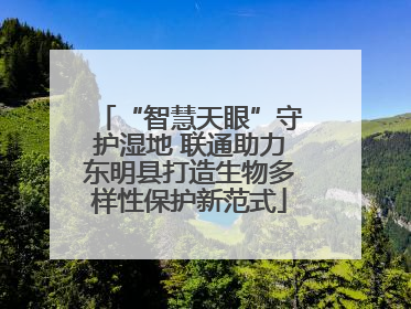 “智慧天眼”守护湿地 联通助力东明县打造生物多样性保护新范式