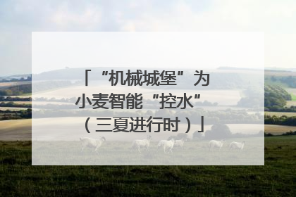 “机械城堡”为小麦智能“控水”（三夏进行时）