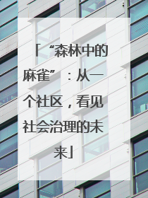 “森林中的麻雀”：从一个社区，看见社会治理的未来