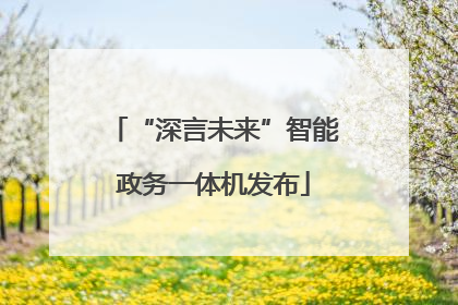 “深言未来”智能政务一体机发布