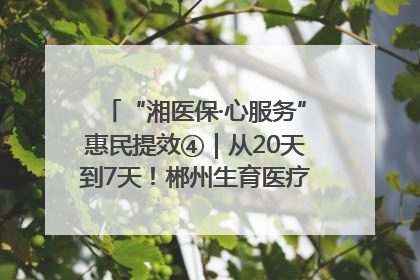 “湘医保·心服务”惠民提效④｜从20天到7天！郴州生育医疗费报销大提速