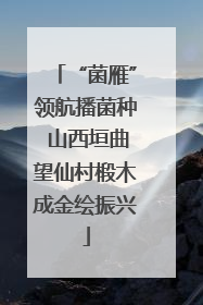 “菌雁”领航播菌种 山西垣曲望仙村椴木成金绘振兴