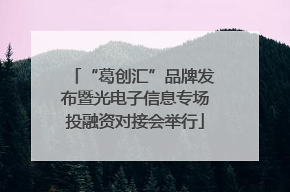 “葛创汇”品牌发布暨光电子信息专场投融资对接会举行
