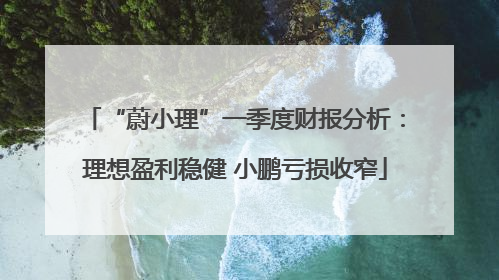 “蔚小理”一季度财报分析：理想盈利稳健 小鹏亏损收窄